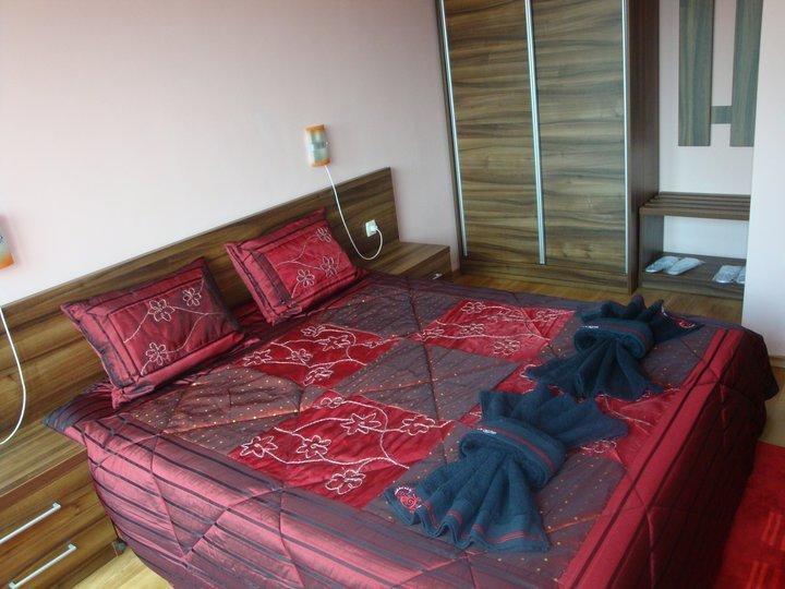 Tzvetelina Palace Hotel Dolna Banya Værelse billede