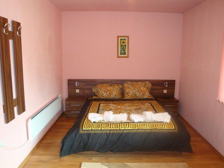 Tzvetelina Palace Hotel Dolna Banya Værelse billede
