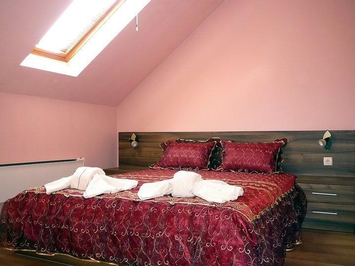 Tzvetelina Palace Hotel Dolna Banya Værelse billede