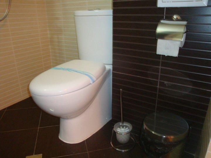 Tzvetelina Palace Hotel Dolna Banya Værelse billede