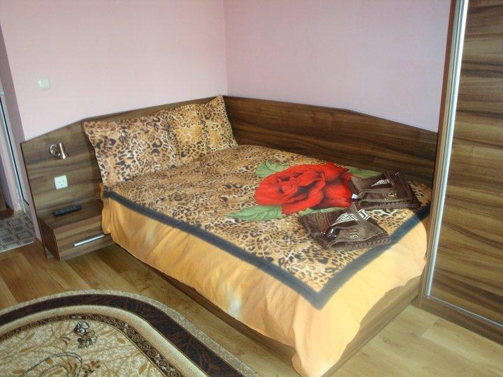 Tzvetelina Palace Hotel Dolna Banya Værelse billede