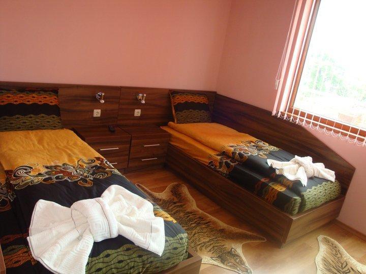 Tzvetelina Palace Hotel Dolna Banya Værelse billede