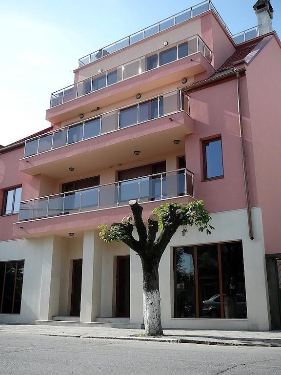 Tzvetelina Palace Hotel Dolna Banya Eksteriør billede